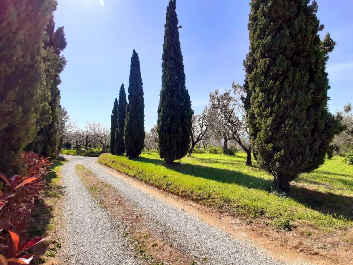 Villa Il Palagio à Vinci Extérieur photo