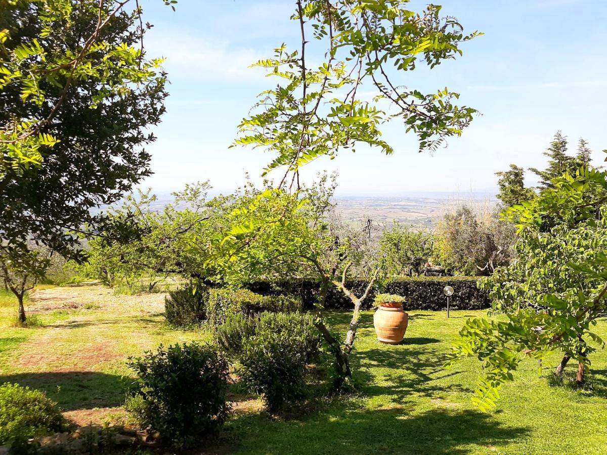 Villa Il Palagio à Vinci Extérieur photo