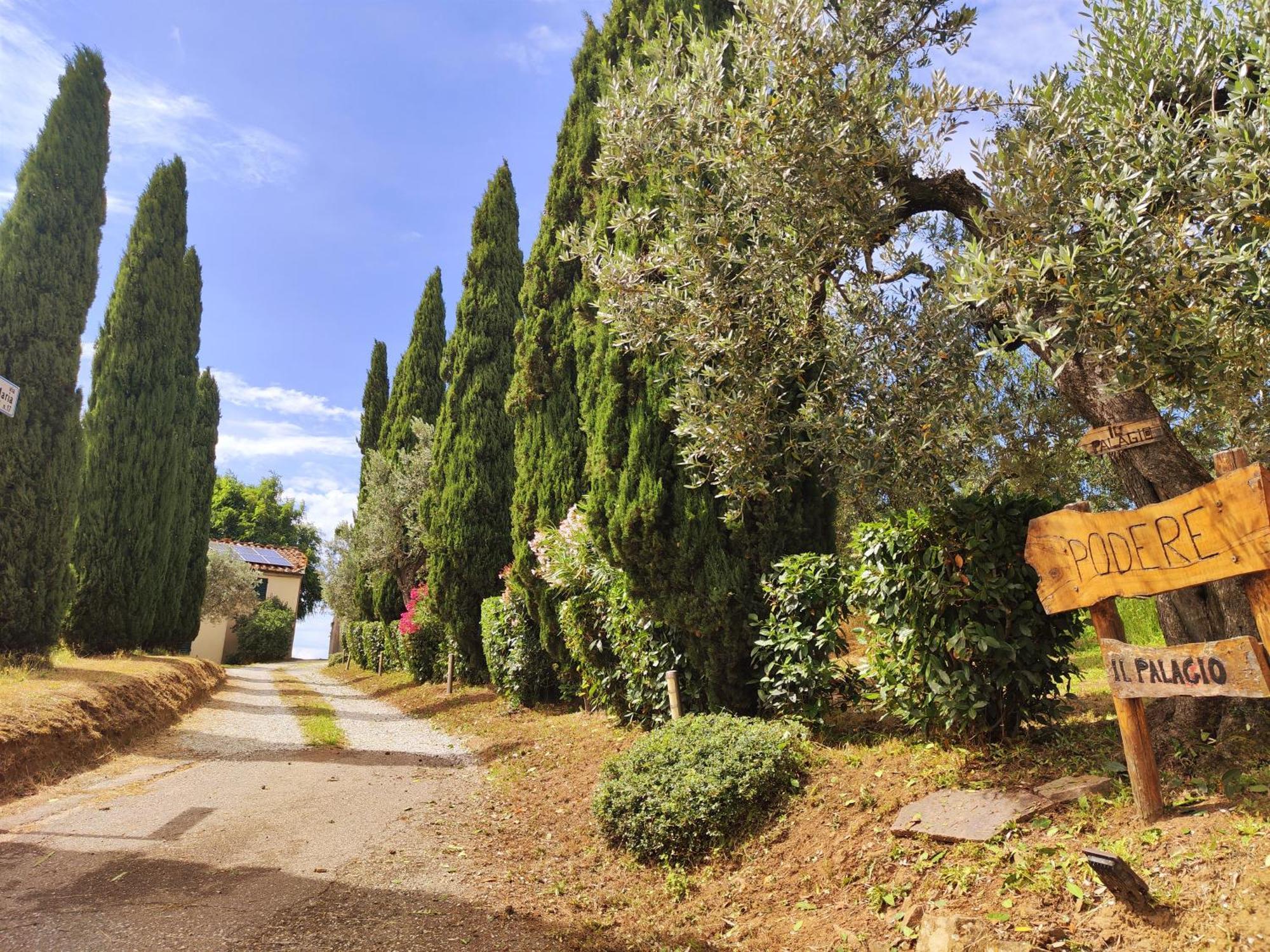 Villa Il Palagio à Vinci Extérieur photo
