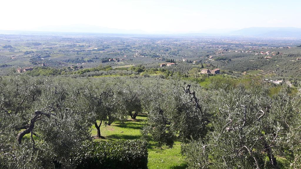Villa Il Palagio à Vinci Extérieur photo